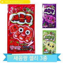 쫄깃쫄깃 맛있는 새콤짱 간식 주전부리 어린이 탕비실 과일맛 젤리, 사과(1IUH)