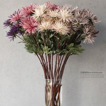 cocooning 홈가드닝 조화부케 5color 실국화 꽃 조화 인테리어, 연보라