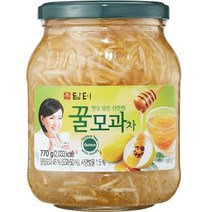 담터-꿀모과차 770g