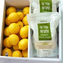 룰루네상점 레몬청 DIY 키트 수제청 과일청 만들기 팬시레몬 황설탕, 레몬청 DIY 키트 (레몬20과+황설탕2kg)