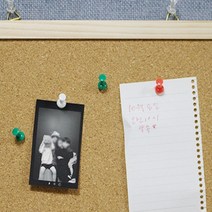 코르크보드 칠판 회사 사무실 공부방 보드 30*20