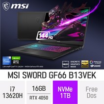 MSI GF시리즈 Sword GF66 B13VEK, Free DOS, 16GB, 1TB, 코어i7, B