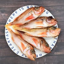 손질 볼락 열기 생선 5미 10미 생선구이 찜, 10미 (1400g내외)