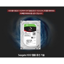 Seagate IronWolf 7200/256M (ST8000VN004 8TB HDD) 아이언울프 NAS용