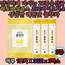 프로바이오틱스 락토바실러스 콤부차 유산균음료 12월 11월 가을 겨울 마시는차 람노서스 불가리쿠스 비피덤 어린이유산균 마시는유산균 LGG유산균 가세리 루테리 80대 70대 60대
