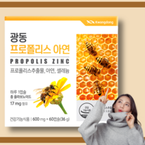 프로폴리스아연c비염 프로폴리스 비염 에좋은 영양제 600mg 2개월분, 2개(4개월분)