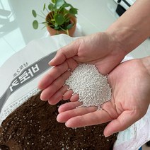 분갈이 화분 화초 거름원타임250g