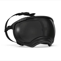 렉스스펙스 옐로우 RexSpecs 고글 V2 강아지고글, 22 V2블랙