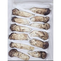 중국산 송이버섭 수입 송이버섯 송이버섯 1등급 1kg