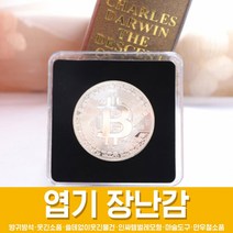 스투피드 만우절 장난감 모음, 55_4. 디지털 비트코인 (실버)