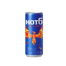 칠성 아미노산 졸음방지 핫식스 캔 에너지드링크 기능성음료 피로회복제 250ML 30개, 14세트