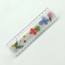압화공예 누름꽃자만들기(15cm), 단품