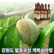 국산 토종 강원도 홍천 돌복숭아 효소 개복숭아 액기스 엑기스 진액 숙성액 발효 원액 즙 복숭아청 숙성 물에 타먹는 쥬스 액상 750ml, 개복숭아 액기스 750ml 1개, 1개