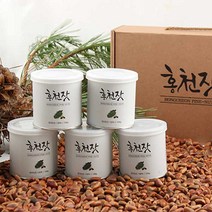 홍천 잣 국내산 뱃잣 햇잣 명품잣, 1개, 5캔(100gx5캔)