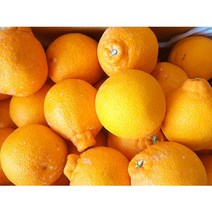 제주이어도농장 한라봉5kg/10kg가정용 중과(대과옵션), 5kg가정용(중과25개전)