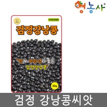 검정강낭콩씨앗 30g, 검정강낭콩