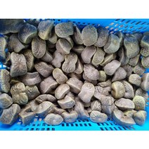 하늘마 열매마 넝쿨마 우주마 종자용 5kg 4kg 3kg 2kg, 하늘마 2kg 종자용, 1개