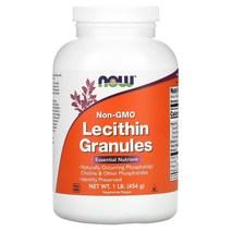 NOW Foods Lecithin Granules 나우 푸드 레시틴 과립 1 lb (454 g)