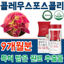 식약처 인증 기능성 인정 특허 받은 식물성 원료 콜레우스 포스콜리 추출물 체지방 체중 제중 감소 도움 클레우스 포스컬리 500mg 체지방 제지방 량 증가 무 첨가 물 없는 추천, 9