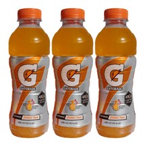 롯데칠성음료 게토레이 오렌지 600ml 24개 페트병