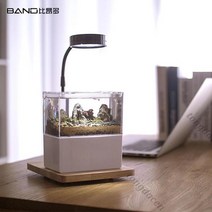 베타키우기 엔젤피쉬 나비파파 블랙고스트 하프문 키우기 오란다금붕어 구피 해수어항세트 해수 4929998849, B 옵션이미지 참조