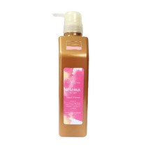 데미 헤어시즌즈 아로마시럽스 아일랜드 플라워 트리트먼트550ml (정품), 550ml, 1개