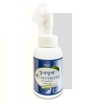 간편 워터리스 거품타입 강아지 발세정제 300ml 1개
