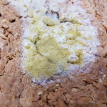 국산 콩 전통메주 재래식 손메주 전통식품 산지직송, 1개, 1.5kg