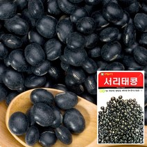 서리태콩 씨앗 (30g), 단품