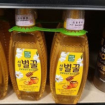 녹차원 사양벌꿀 800g x 2, 단품