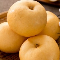 [명절선물] 배 나주 햇배 신고 특품 가정용 설 명절 과일 선물 세트, 햇배(신고) 특품 5kg (5-7과)
