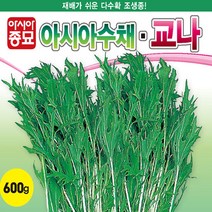 교나씨 아시아수채 2000립 씨앗, 본상품선택