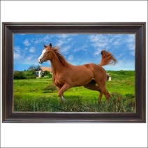 드림하우스 말사진