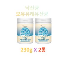 에너데이 낙산균모유유래유산균230g 모유유래유산균 프락토올리고당 낙산균 엘아르기닌 엘프롤린 19종혼합유산균 제이인산칼륨, 2통