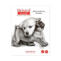 세르지오 브리스톨 스무스 패드 250g 20매 스케치북 (옵션선택), A4