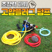 이동형 고압 양수기 펌프 12V48V60V220 볼트 고전압 농업용 전기 분무기 농약 제초제 살충제 방제 방역 살포기, 12V 플런저 펌프 30 미터 고압 튜브 무료 구리
