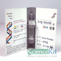 DO/DNA추출 II - 동물세포 4인용