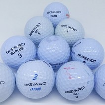 빅야드 스릭슨 타이틀리스트로스트볼 A- 등급 20알 유명라운딩골프공시즌 로스트볼, 스릭슨화이트
