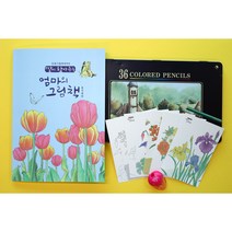 꽃여행 컬러링북 36색 색연필 세트 쉬운 도안 컬러링, 꽃여행컬러링세트, 1