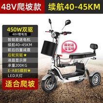 3륜 삼륜 전기자전거 세발 노인 성인 3륜전동스쿠터 전기바이크 어르신, 48V, 48V듀얼드라이브리튬배터리10A하나의키시작