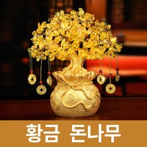 미스터홈 황금 돈나무 돈들어오는나무 집들이선물