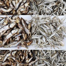 순멸치 건어물도매몰국물용다시멸치 큰멸치 손질멸치 훈연멸치, 훈연멸치_500g