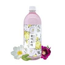 화담 꽃이조아 식물영양제 분주형식물영양제 1000ml, 꽃이조아 1L