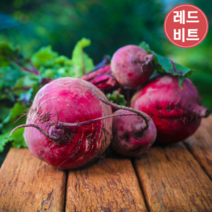 국내산 레드비트 산지직송, 1개, 4kg