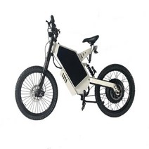 전기로드자전거 고출력 3000W 스텔스 산악 오프로드 전기 자전거, 1.WHITE