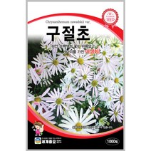 구절초 1000립 / 꽃씨 다년생 씨앗 몰 봄 여름 가을 야생화 세계종묘 농사마트