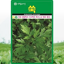 쑥씨앗 10000립, 1개