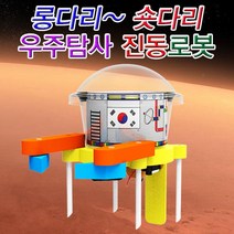 롱다리 숏다리 우주탐사 진동로봇 1인용전기 자석 ph 과학실습 DIY 교육 과학 실험 과학실험키트 과학키트 교구