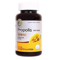 코스트코 엔플러스 프로폴리스 507mg x 340캡슐 Nplus Propolis 구매대행, 단일, 1개