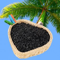 이연야자활성탄1kg [탈취제+습지제거제] 새차 냄새 베이크아웃